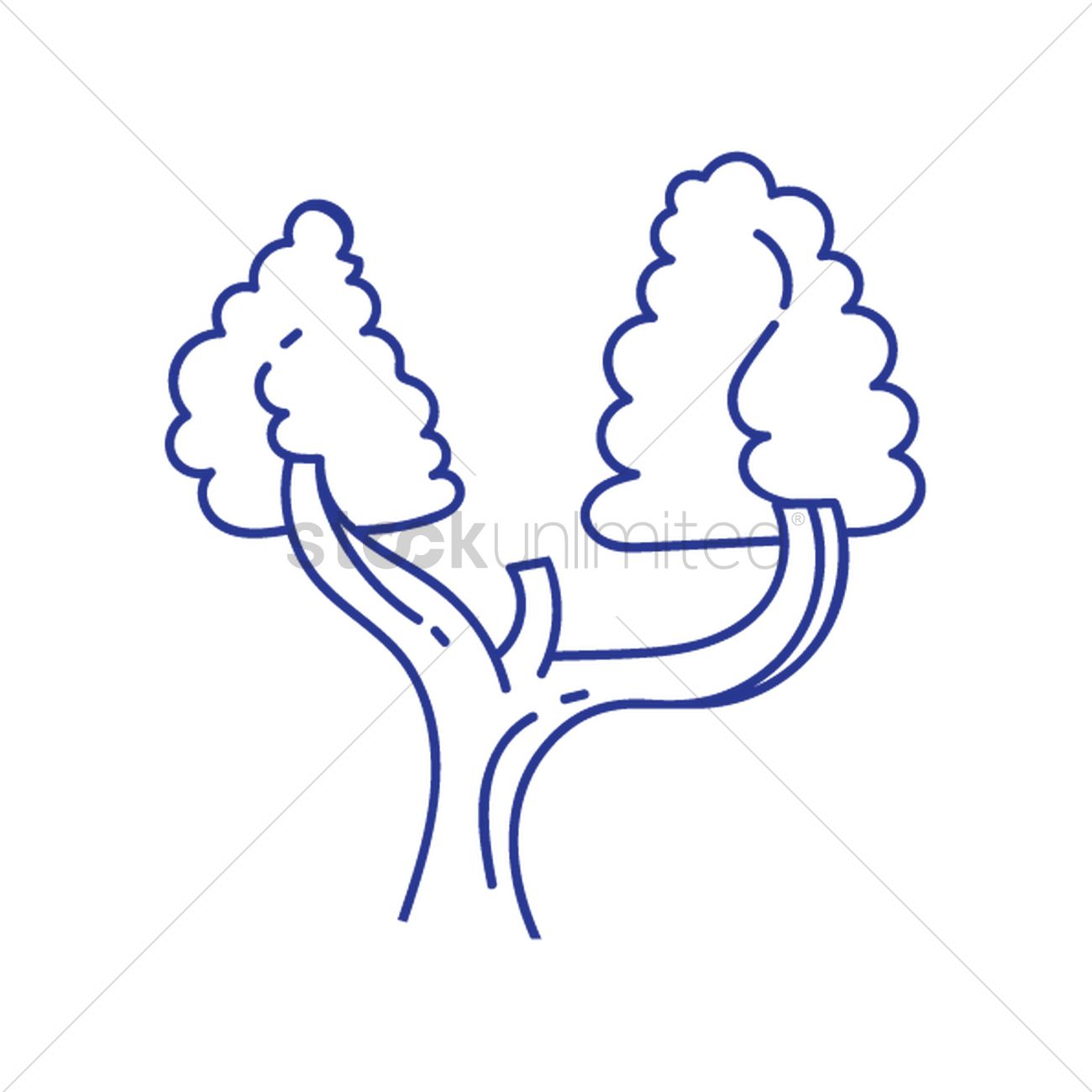 1300x1300 Tree With Two Branches Vector Image