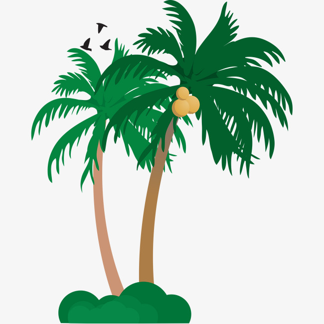 650x651 Commercial Hand Drawing Coconut Tree