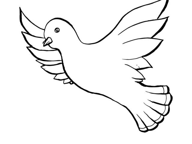 640x480 Free Drawn Turtle Dove, Download Free Clip Art