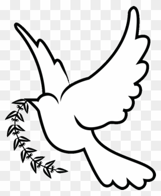 320x390 Free Png Dove Clip Art Download