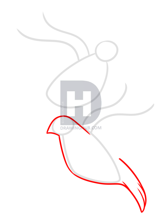 547x720 How To Draw Turtle Doves, Step