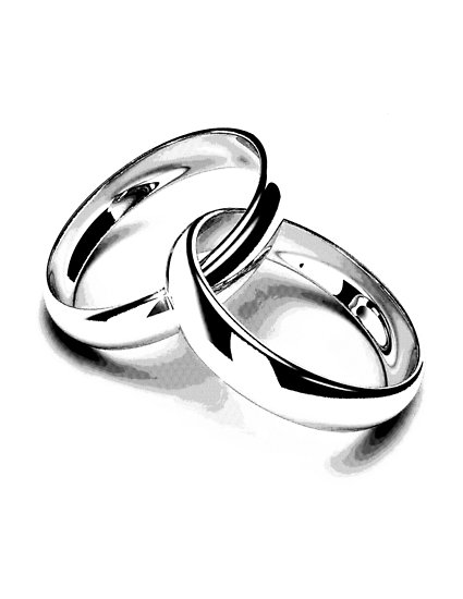 425x550 Wedding Bands Just Married Newlyweds New Wife New Bride New