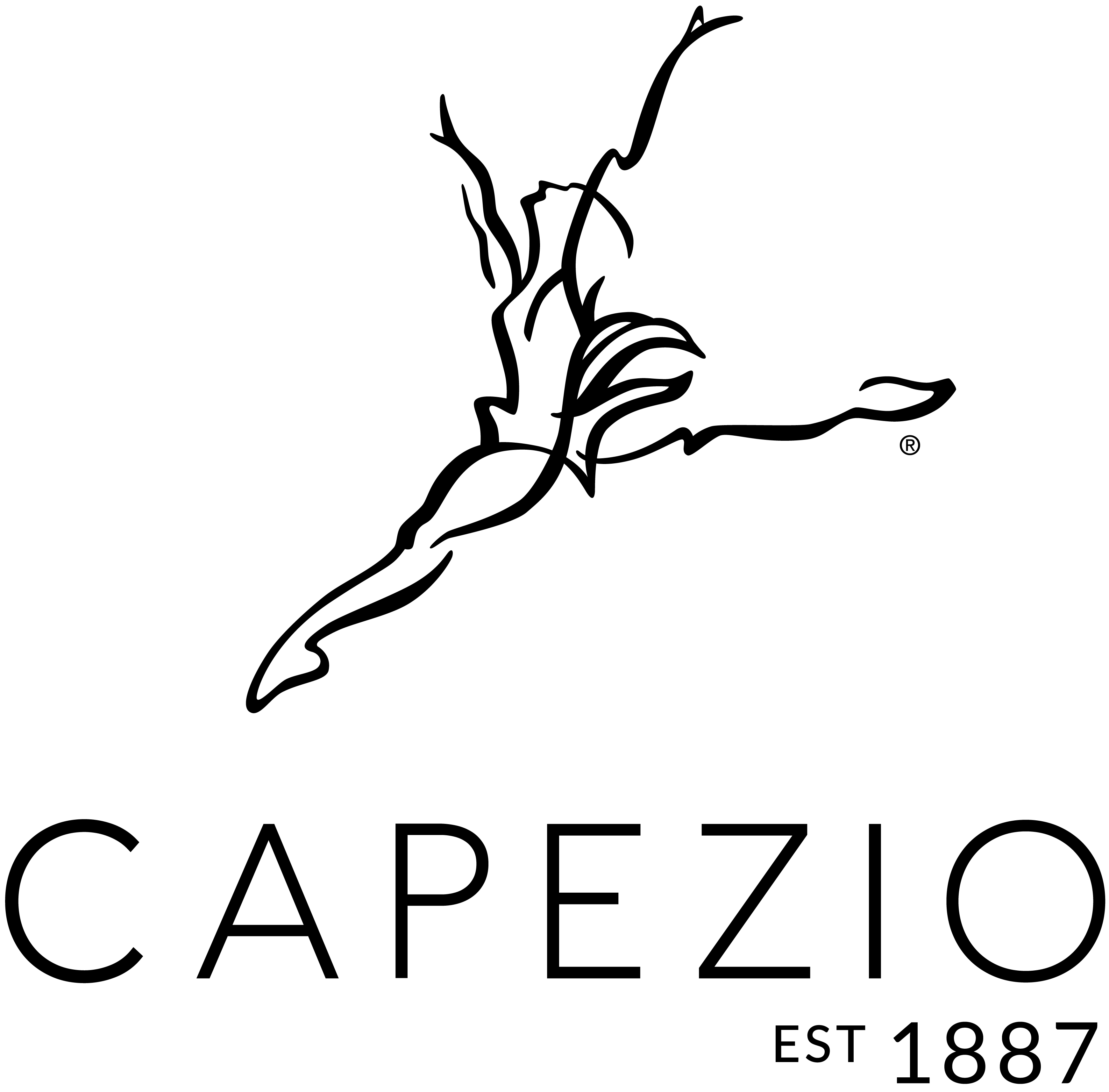 3483x3429 American Ballet Theatre