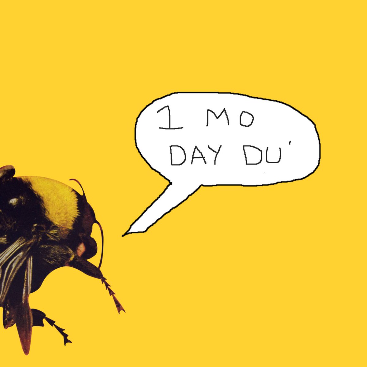 1200x1200 Tyler, The Creator On Twitter