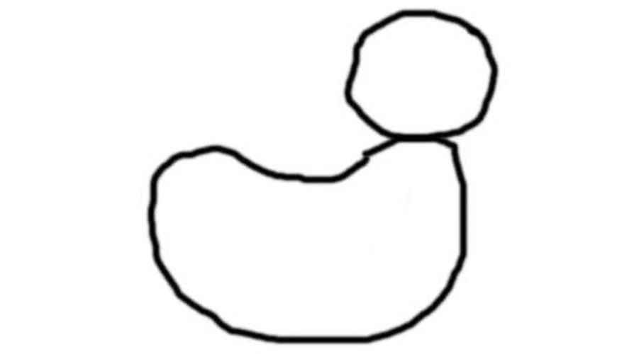 877x500 How To Draw A Duck Our Pastimes