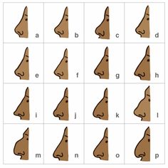 Types Of Noses Drawing
