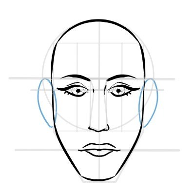 Types Of Noses Drawing | Free download on ClipArtMag