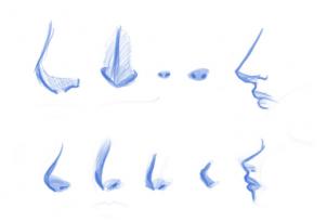 302x205 How To Draw Manga Noses, Step