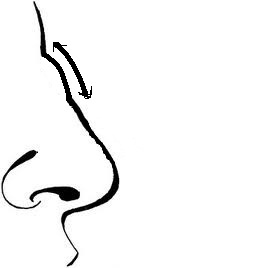 255x268 Stylish English For You March