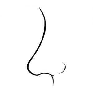 300x300 This Is What The Shape Of Your Nose Reveals About Your Personality