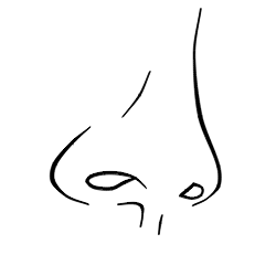 250x250 Drawing A Cartoon Nose Drawing Cartoon Noses, Nose Drawing