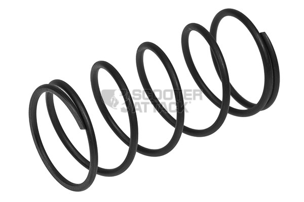 600x400 torque spring piaggio nrg typhoon