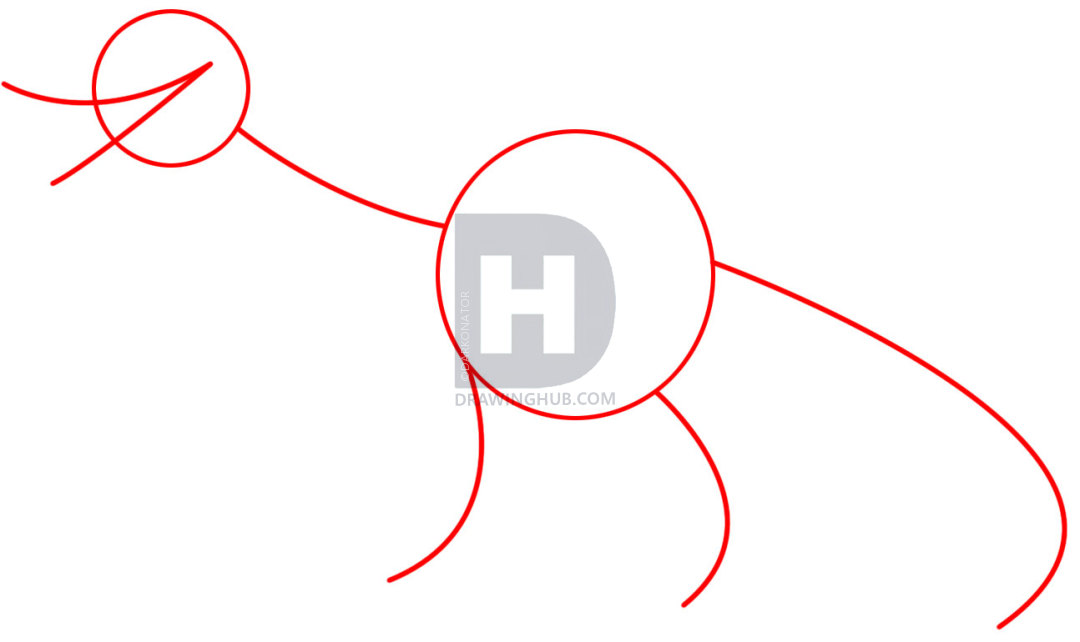 1080x642 How To Draw A Tyrannosaurus Rex, Step