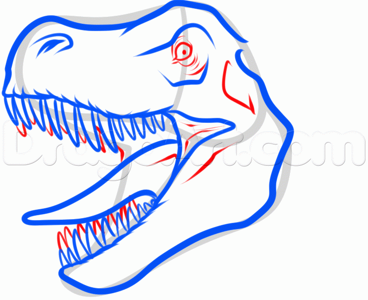 745x608 How To Draw A T Rex Head, Step