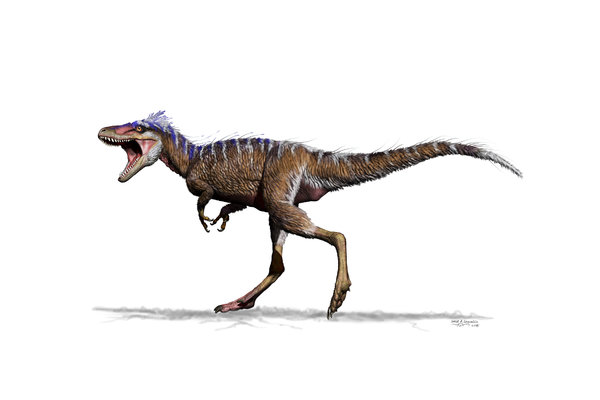 600x400 tiny tyrannosaur hints