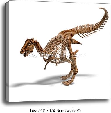 382x390 Canvas Print Of T Rex Skeleton Barewalls Posters Prints