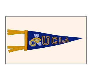340x270 ucla pennants etsy