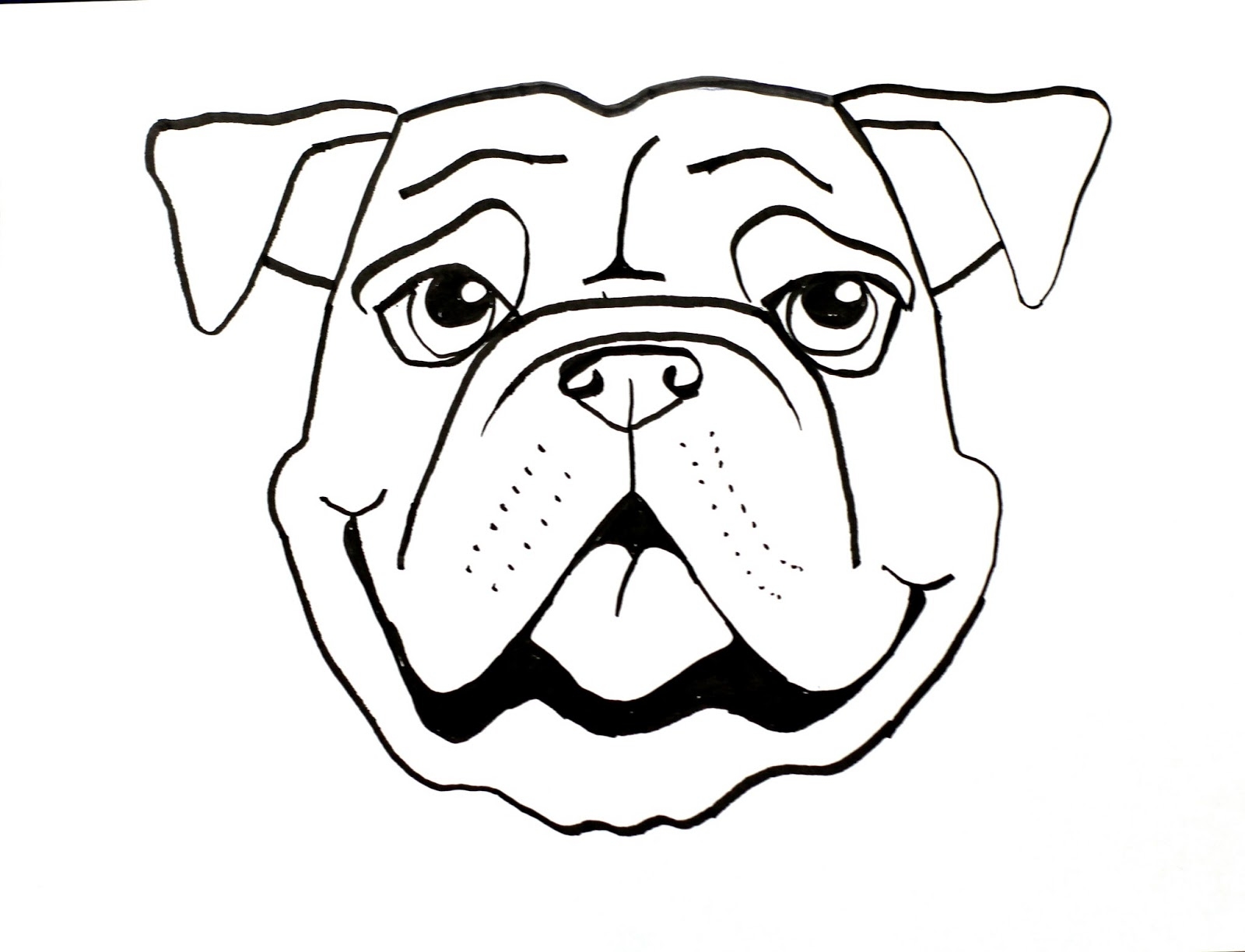 1600x1224 uga bulldog coloring pages baby american cute english printable