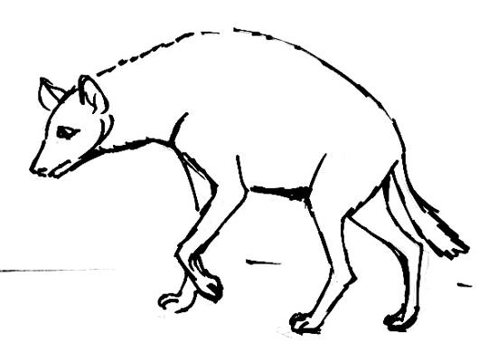 550x390 How To Draw A Hyena