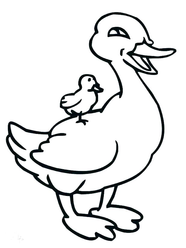 Ugly Duckling Drawing | Free download on ClipArtMag