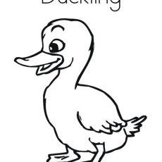 230x230 Duckling Coloring Page
