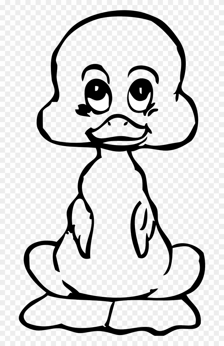 880x1360 Vector Graphics,free Pictures