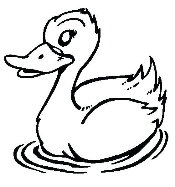 559x597 Coloring Duck Coloring Duck Coloring Pages