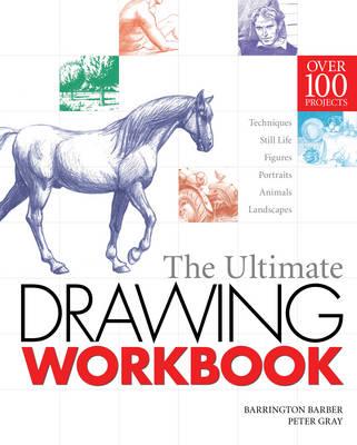 321x400 The Ultimate Drawing Workbook Book
