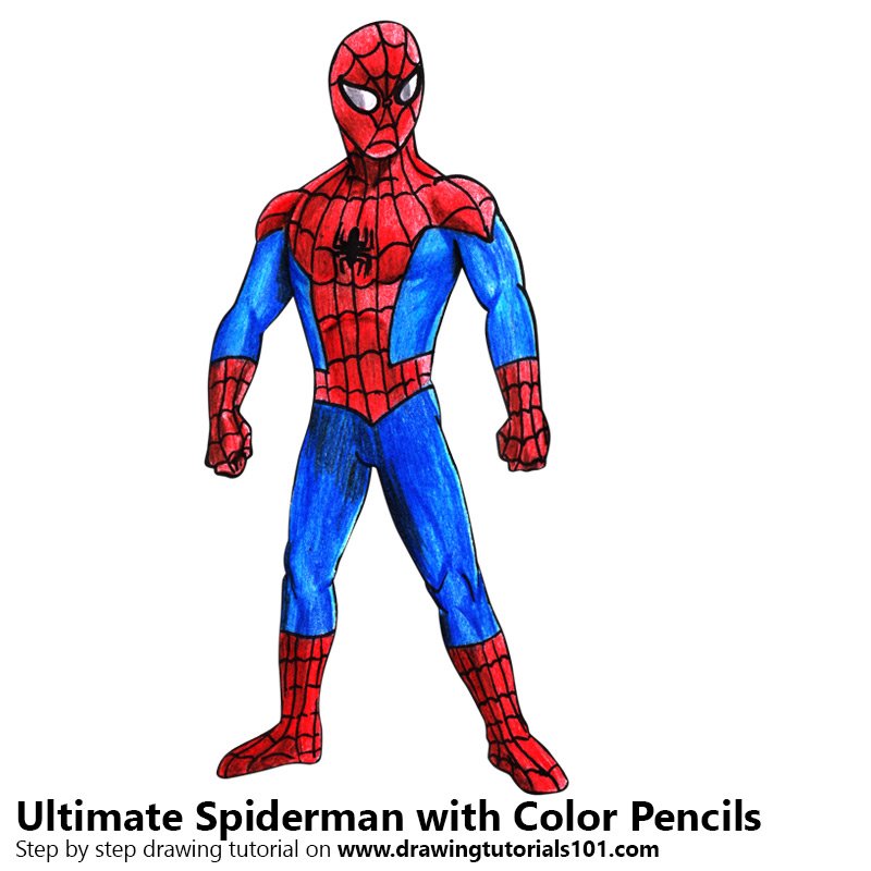 800x800 Ultimate Spider Man Colored Pencils