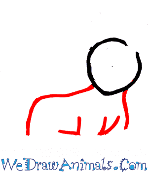 300x350 How To Draw Umbreon Pokemon