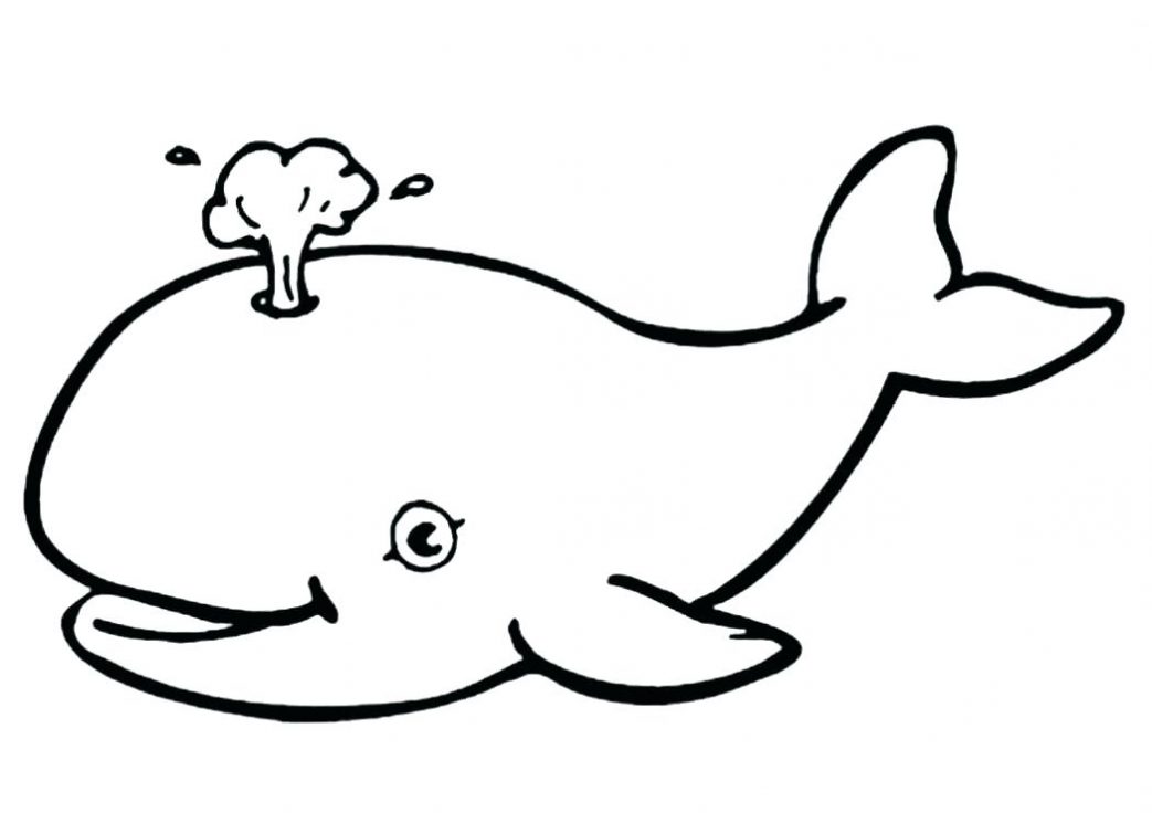 1043x736 Free Coloring Sheets Sea Animals Pages For Toddlers Under The Kids