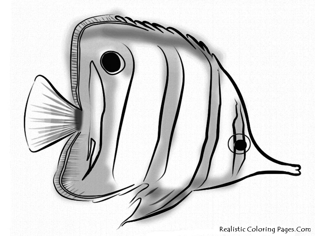 1024x768 Sahara Desert Drawing At Getdrawings Com Free For Personal Use New