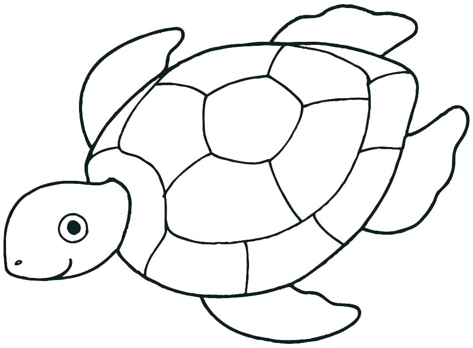 940x691 Sea Creature Coloring Pages Ocean