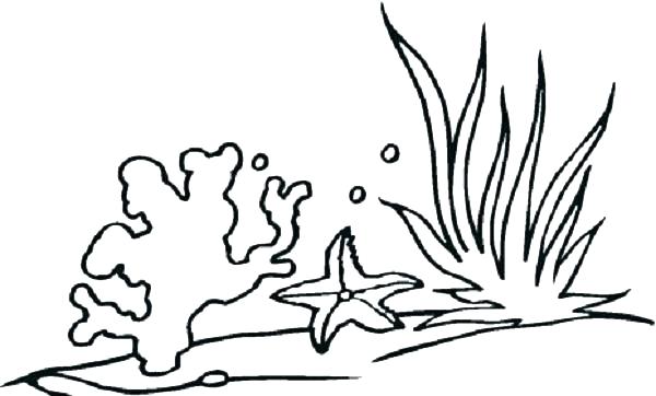 600x362 Sea Plants Coloring Pages Sea Plants Coloring Pages Ocean Medium