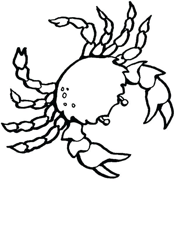 600x800 Ocean Animal Coloring Pages Seashell Coloring