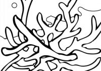 200x140 Sea Coral Coloring Pages With Line Drawings Coral For Sea Drawing