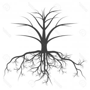 300x300 Tree Underground Roots Brown Tree Root On Vector Soidergi