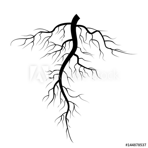 500x500 Tree Underground Roots Vector Set Illustration Isolated On White