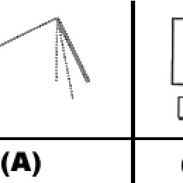 260x260 Pictures Of Two User Interfaces, Adapted From A Paper