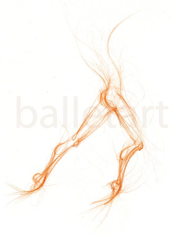 570x798 The Noblest Pleasure Is The Joy Of Understanding