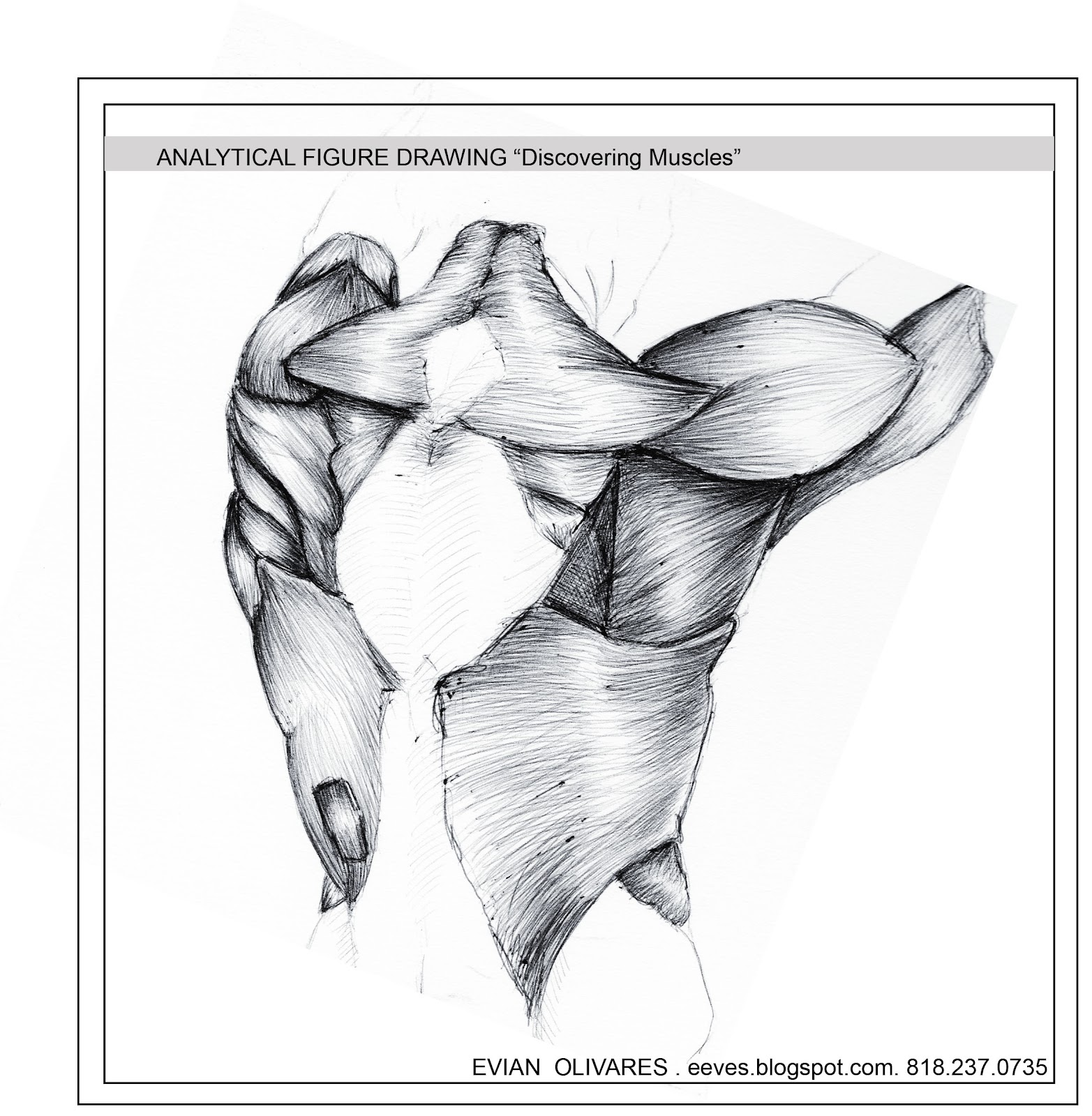 1565x1600 Analytic Figure Drawing Evian Olivares