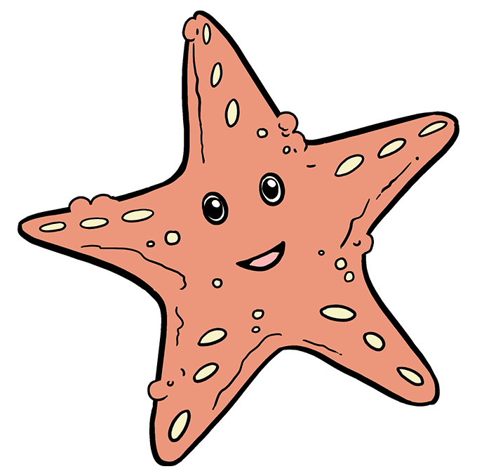680x678 Drawing Starfish Underwater Transparent Png Clipart Free