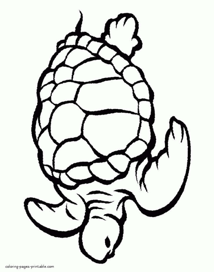728x926 Saracedarmiller Underwater Animals Coloring Pages Excelent