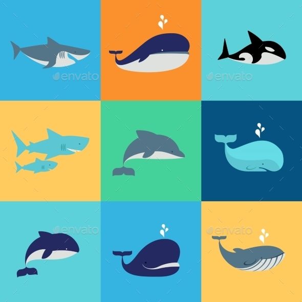 590x590 Vector Set Of Whale, Dolphin And Shark Icons