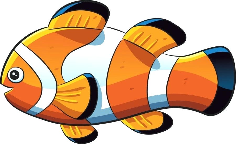 900x560 Drawings Of Fishes And Sea Animals