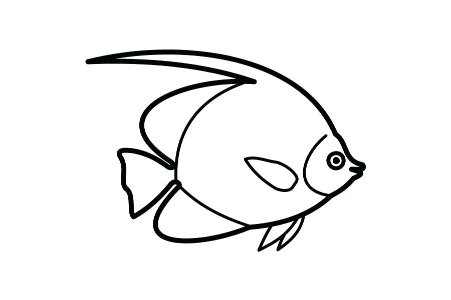 Underwater Animals Drawing | Free download on ClipArtMag