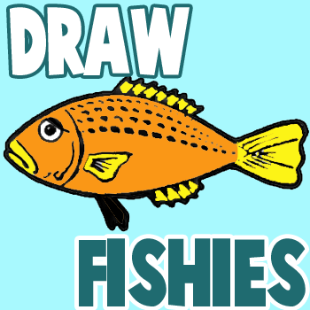 350x350 How To Draw Fish In Easy To Follow Steps Drawing Lesson Kids