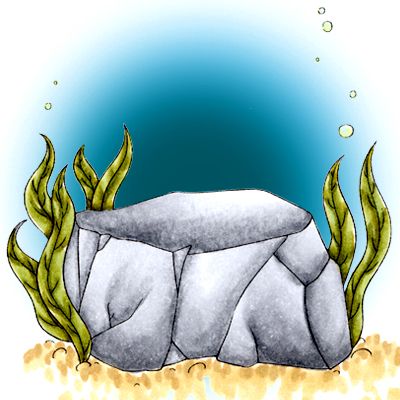 400x400 Drawn Rock Underwater