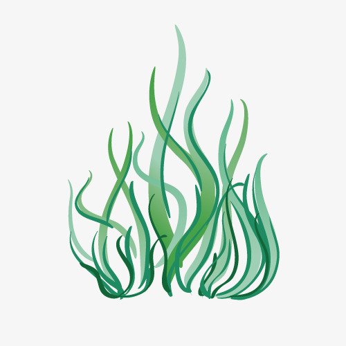 Underwater Plants Drawing | Free download on ClipArtMag