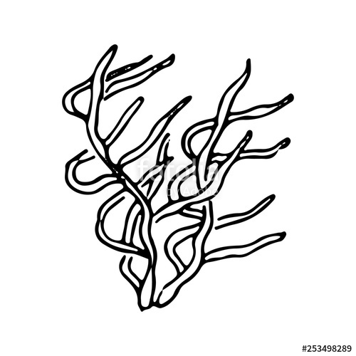 500x500 Hand Drawn Alga Doodle Sketch Style Icon Marine Underwater